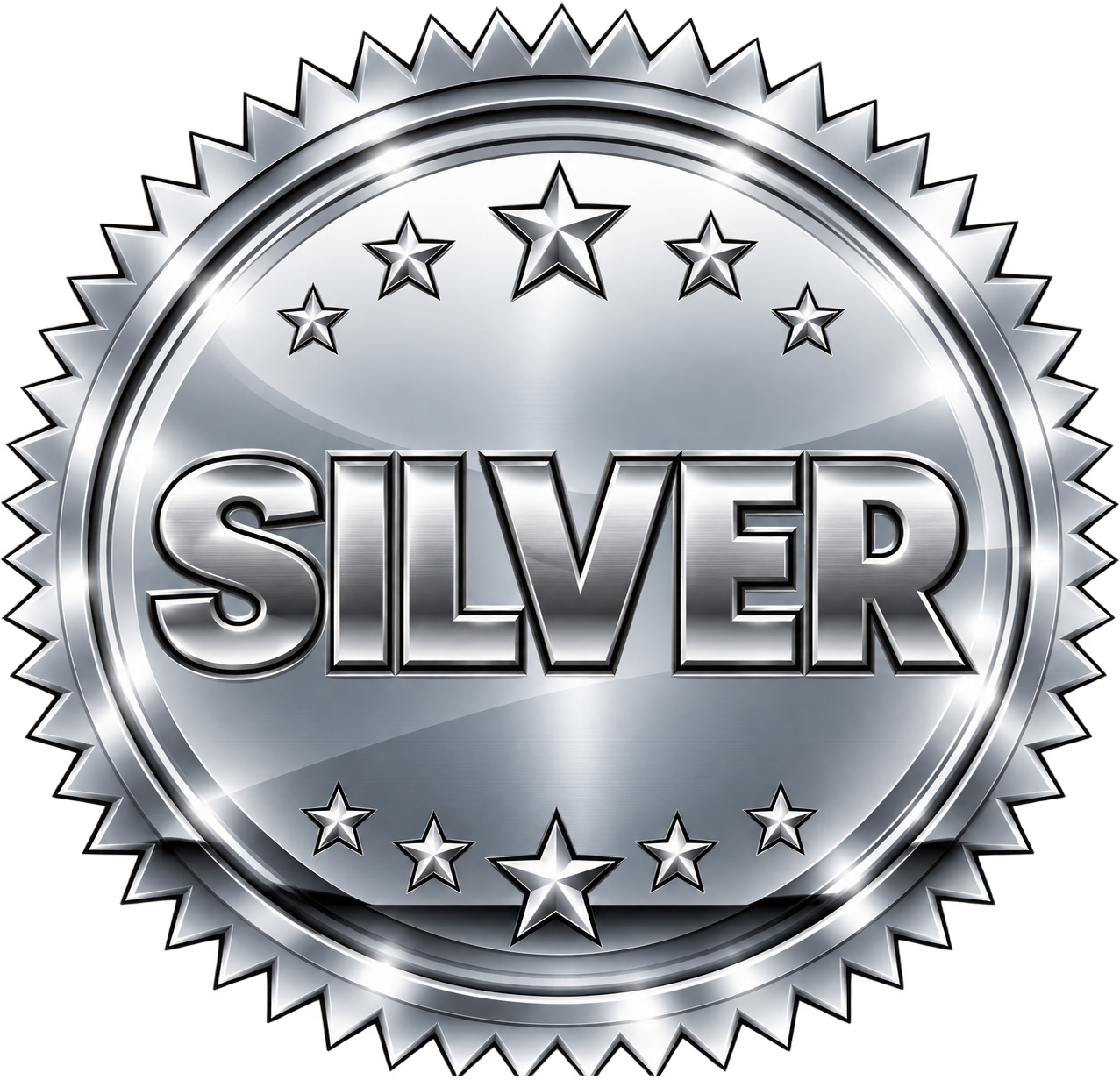 Silver Sponsor